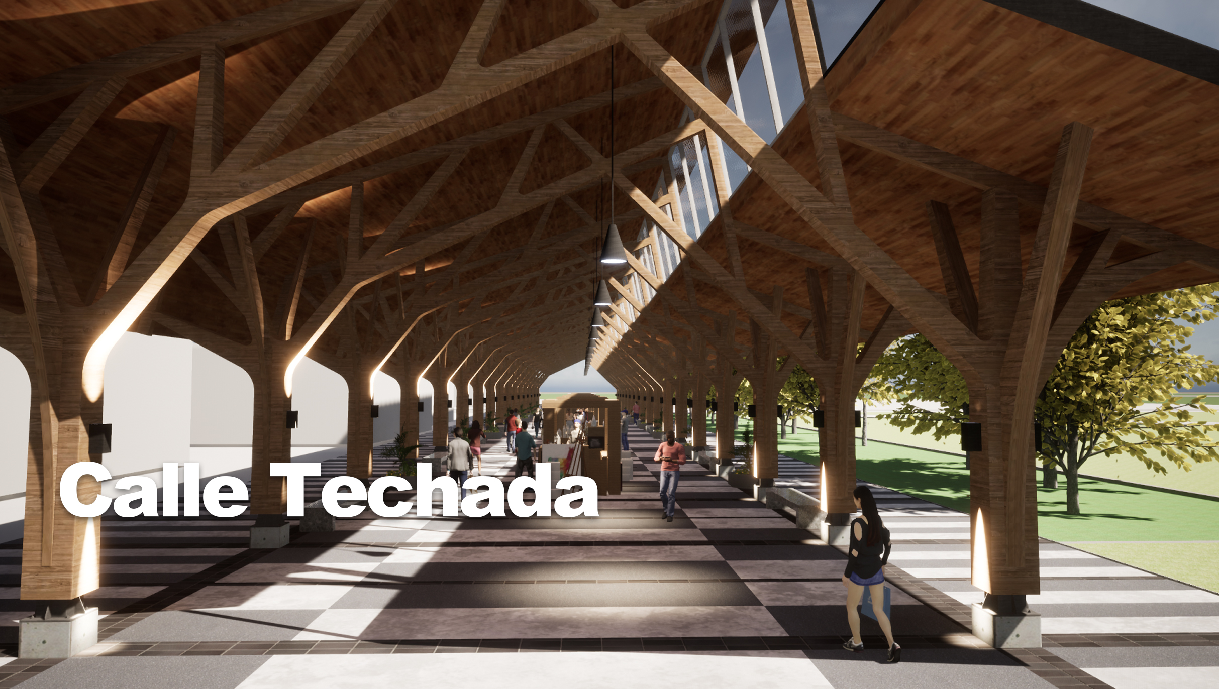 Calle Techada Loncoche